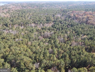 0 Heidi Trl Lot 10, Buckhead, GA 30625 - photo 5