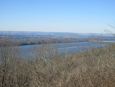 0 Scenic Dr unit 19785816, Section, AL 35771 - photo 6