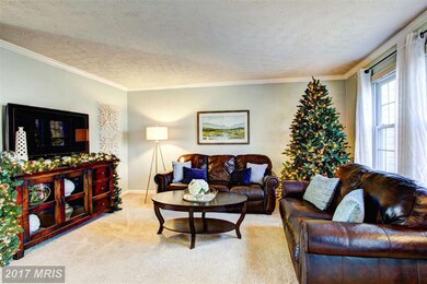 13333 Burkitts Rd, Fairfax, VA 22033 - photo 6