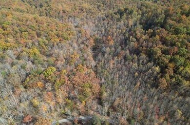 2159 Narrow Gap Rd, Crab Orchard, KY 40419 - photo 5