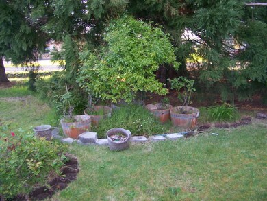 923 Pine Dr, Enumclaw, WA 98022 - photo 6