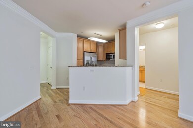 Dominion Heights unit 313, Arlington, VA 22207 - photo 6