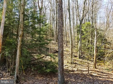 0 Bear Creek Rd unit PASK130084, Schuylkill Haven, PA 17972 - photo 4