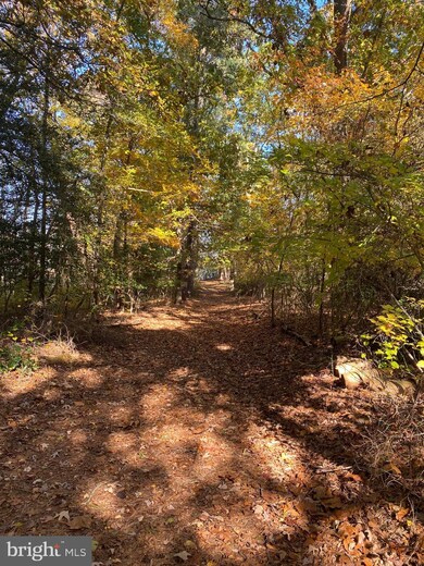 28156 Blueberry Ave, Dagsboro, DE 19939 - photo 5