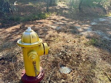 109 and 115 Olomana Ct, Bastrop, TX 78602 - photo 5