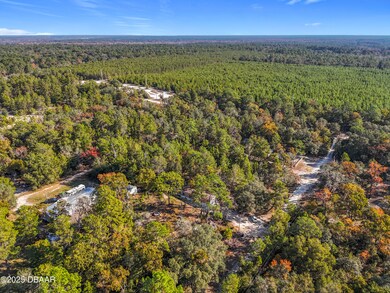 109 Lucas St, Satsuma, FL 32189 - photo 6