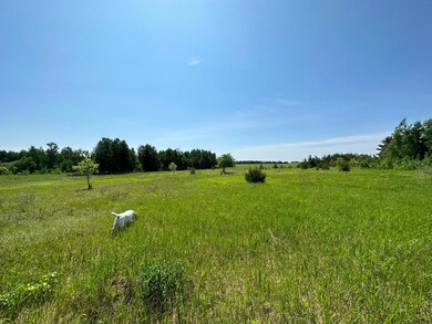 TBD 275th Ave, Ward Township, MN 56438 - photo 7