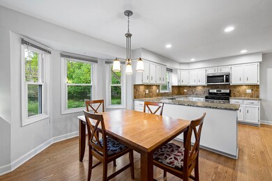 587 Bovidae Cir, Naperville, IL 60565 - photo 5