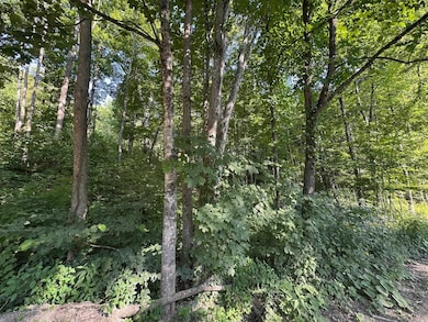 90 Old Swanzey Rd, Winchester, NH 03470 - photo 3