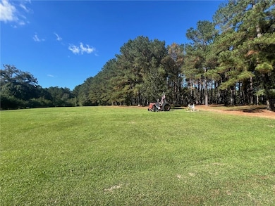 0 Louisiana 1054, New Zion, LA 70444 - photo 3