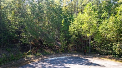 00 Meadow View Ln unit N34 Jocassee Ridge, Salem, SC 29676 - photo 4