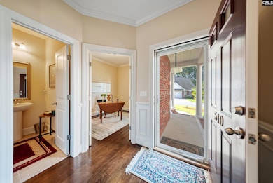 510 Lilypad Ct, Chapin, SC 29036 - photo 4