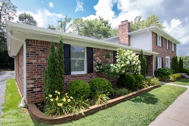 Mature Landscaping