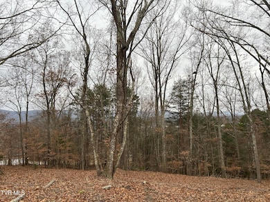 252 Carrie Cir, Mount Carmel, TN 37645 - photo 4