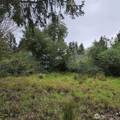 382 Cygnus Ave SW, Ocean Shores, WA 98569 - photo 6