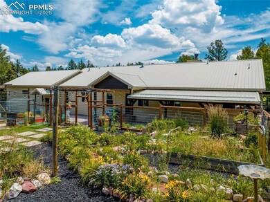 517 Aspen Village Rd, Divide, CO 80814 - photo 7