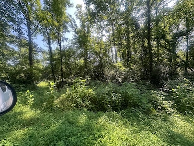 28 Rock Springs Rd, Celina, TN 38551 - photo 3