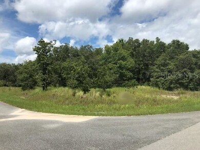 0 Locust Pass Loop unit OM606070, Ocala, FL 34472 - photo 2