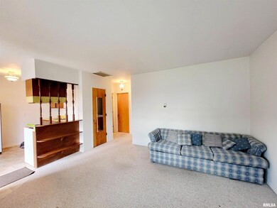 410 Frorer Ave unit 2, Lincoln, IL 62656 - photo 2