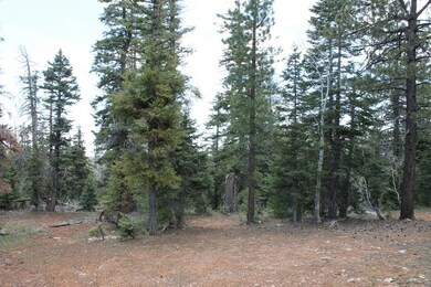 Picture of the Lot