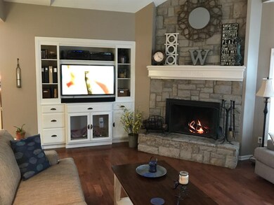Custom built-in entertainment cabinet.