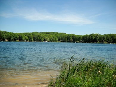 12014 Lake Ave, Bitely, MI 49309 - photo 5