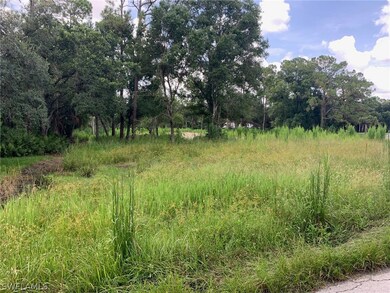 View of local wilderness