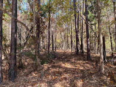 0 Woodthrush Rd, Chapin, SC 29036 - photo 6