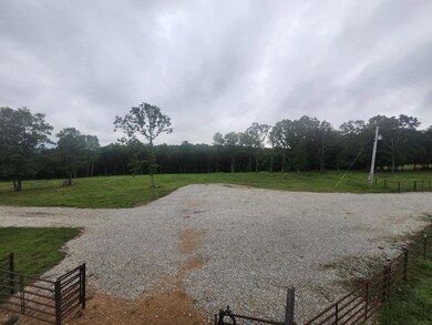 9551 Highway Ff, Mountain Grove, MO 65711 - photo 6