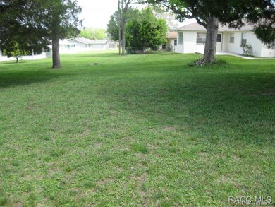back yard