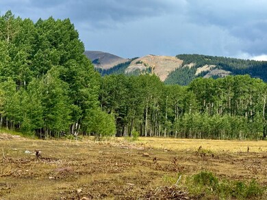 49404 Fs 567, Mancos, CO 81328 - photo 7