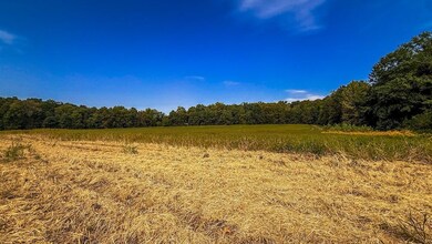 5 E Scotland Rd, Bloomfield, IN 47424 - photo 4