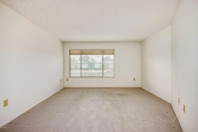 Loma Blamca - 10102 (11)