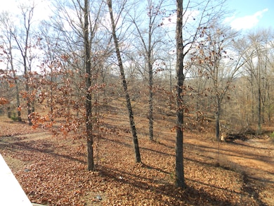 26713 Farm Road 1186, Eagle Rock, MO 65641 - photo 3