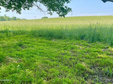 0 Old Kentucy Rd at Jared Rd unit 1191441, Sparta, TN 38583 - photo 6