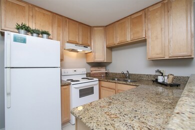 1307 Welch St unit 6, Houston, TX 77006 - photo 5