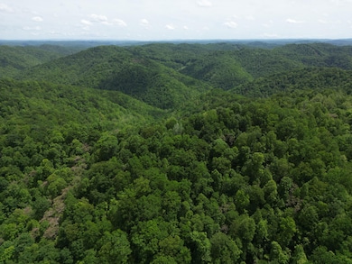 24 Border Creek Rd, Panther, WV 24872 - photo 6