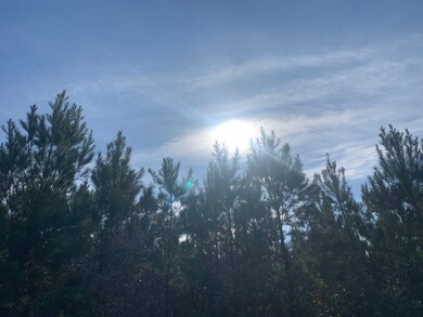 0 Nursery Rd unit 24160622, Livingston, TX 77351 - photo 2