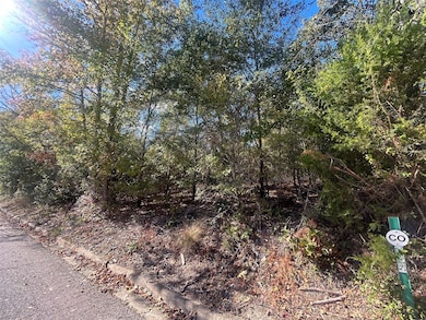 10 Bayshore Dr, Athens, TX 75752 - photo 5