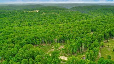 15.18ac Mount Helen Rd, Allardt, TN 38504 - photo 5