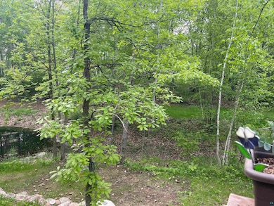 View of undeveloped land