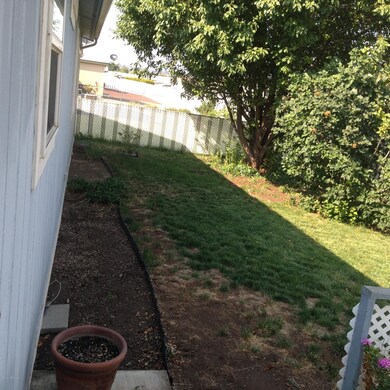 Side Yard