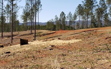 Additional View