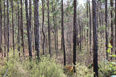 0 Danny Holmans Rd unit 21419252, Rockford, AL 35136 - photo 5