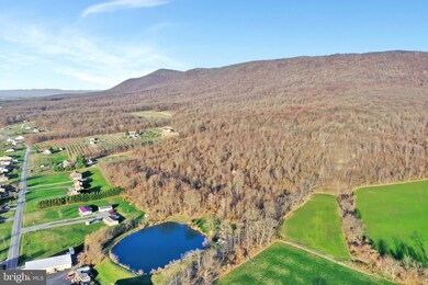 0 unit PAFL178874, Saint Thomas, PA 17252 - photo 3