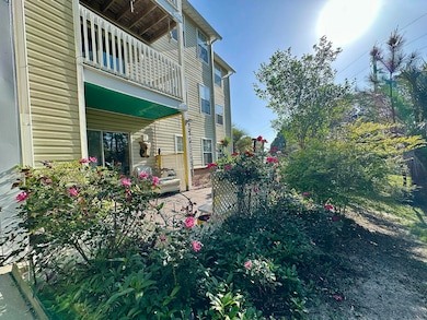4080 Dancing Cloud Court UNIT 218