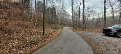 636 Tobaccoport Rd, Bumpus Mills, TN 37028 - photo 5