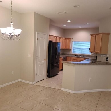 9907 Serona Bluff Way, Tampa, FL 33619 - photo 4