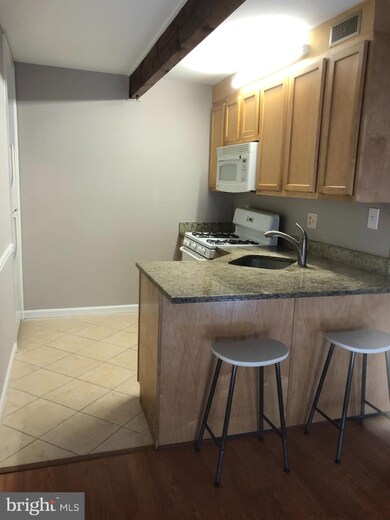 7403 18th Ave unit 102, Hyattsville, MD 20783 - photo 6