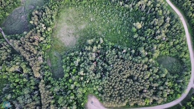 (Lot 5) TBD Waterfront Ln, Little Elbow Township, MN 56569 - photo 6